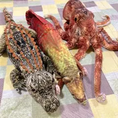 さかなクン プロデュース ぬいぐるみ タコ ピラルク ワニ 特大 さかなくんぬいぐるみ ピラルク – 雑貨店Noichi(ノイチ) ネット