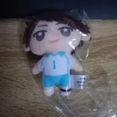 ハイキュー!! 及川徹 ガチャガチャ ぬいぐるみ