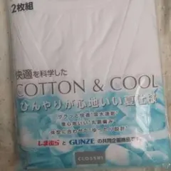 COTTON & COOL 半袖VネックTシャツ 2枚組 L GUNZE