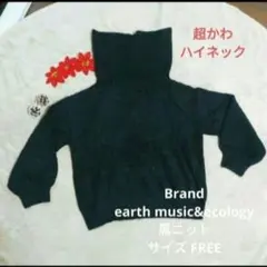 earth music&ecology 黒 ハイネック セーター サイズFREE