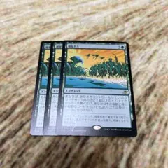 惑星共生　日本語　MTGのサムネイル