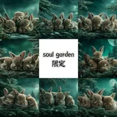 soul garden 251209f