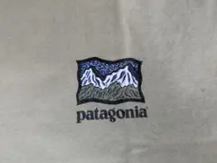 パタゴニア patagonia 90s Tシャツ Kids Ｌ