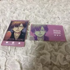 ときメモGS ぺたコレクション アニメイトオンリーショップ 真嶋太郎