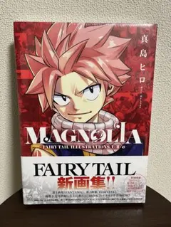 FAIRY TAIL 画集 3冊セット MAGNOLIAのみ新品