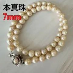 照り強　アコヤ真珠　本真珠　ホワイト　約7.0mm