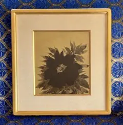 山口和雄　「牡丹」　メゾチント　銅版画 山口和雄 「牡丹」 メゾチント 銅版画 - メルカリ