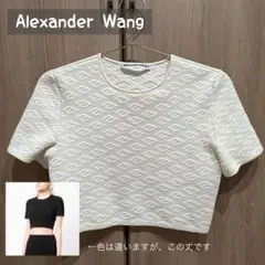 2026年最新】Alexander Wang レディース 半袖 ニット・セーターの人気