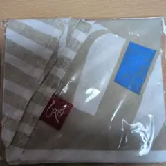 送料無料　KALDI福袋2026 もへじ手ぬぐいエコバッグ午