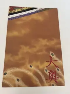 大奥　パンフレット　二宮和也