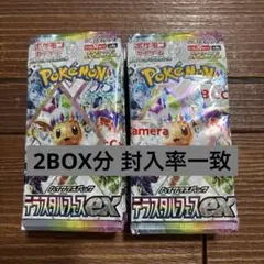 ポケモンカードゲーム テラスタルフェス 20パック 封入率一致
