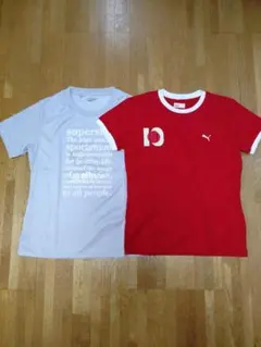 半袖 Tシャツ 2枚セット