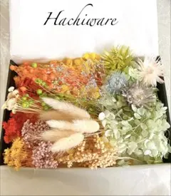 Sale 花材セット　詰め合わせ　B級品