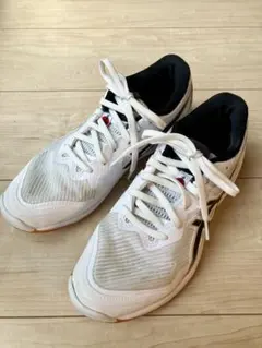 2025年最新】ローテジャパンライト 24．5の人気アイテム - メルカリ