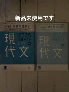 2025共通テスト問題集 現代文