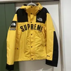 THE NORTH FACE SUPREME マウンテンパーカー