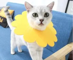 Item thumbnail for item 676b1e4e-3140-4309-b95a-3961f5acce36