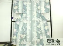 夏物　浴衣　撫松庵　綿　乱菊のサムネイル