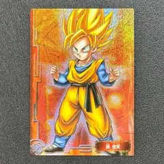 ドラゴンボールZ アマダ ENSKY PPカード トレーディングコレクション