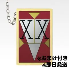 【HUNTER × HUNTER】一番くじ I賞 ダブルハンターライセンス