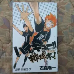 ハイキュー！！　コンプリートガイドブック　排球本！