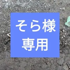 そら様専用