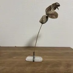 Item thumbnail for item 6dee2fad-bb26-494d-8169-a25615304d54