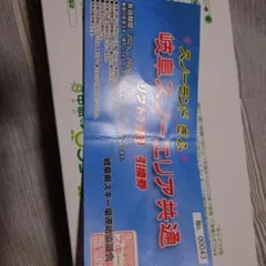 リフト1日引換券