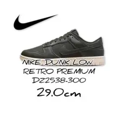 NIKE DUNK LOW RETRO DZ2538-300