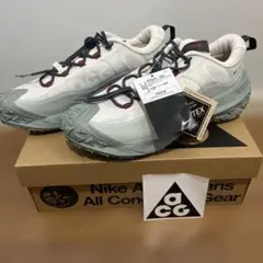 Item thumbnail for item d3665b47-913d-4e8e-b6fa-0b978150160d