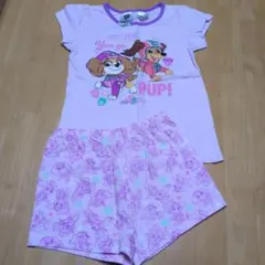 パウ・パトロール　スカイ　リバティ　セットアップ