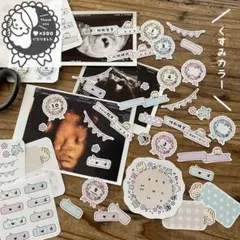 【シール】マタニティ·エコーアルバムフレーク(くすみカラー) ＊ 母子手帳シールのサムネイル