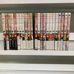 Item thumbnail for item 73bb685a-3881-46b6-a6d5-6e0e03e2f44d