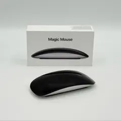 Apple Magic Mouse ブラック 本体 USB-Cタイプ
