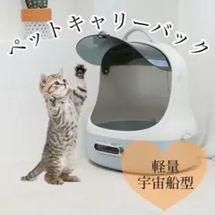 Item thumbnail for item eff8a56e-591f-4dcc-a21d-00d3d84fd7ef