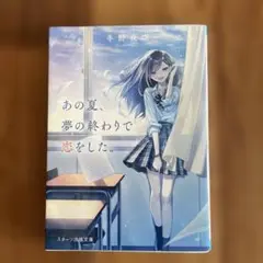 あの夏、夢の終わりで恋をした。