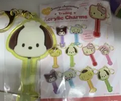 【新品】サンリオ チョコレートトレーディングアクリルチャーム ポチャッコ　不二家