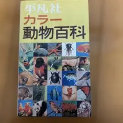 Item thumbnail for item 11b3f0b4-2a97-46f5-b282-9f379fa91236