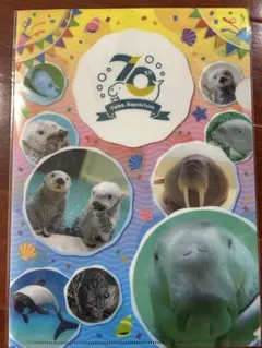 激レア】鳥羽水族館の生きものたち（鳥羽水族館70周年コレクション