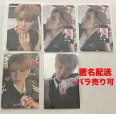 ALPHA DRIVE ONE ALD1 アルノ トレカ