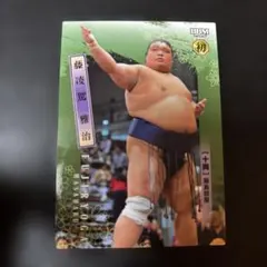 Item thumbnail for item a6ee37f3-7a86-407d-9f31-d261d7b66880