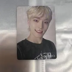 SEVENTEEN FC更新特典 ディノ