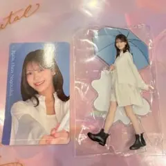 乃木坂46 モバイル S賞 アクリルスタンド B賞 ステッカー 岡本姫奈 ③