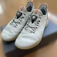 2026年最新】ecco biom c4 boaの人気アイテム - メルカリ