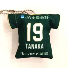 松本山雅 山ガチャ プレーヤーズミニクッションチェーン 19番 田中想来選手