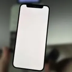 iPhone 12 MINI 【Apple純正】フロントパネル