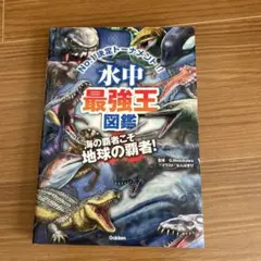 Item thumbnail for item de625a96-f63b-422e-9864-599c59788ef4