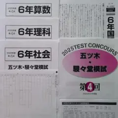 2026年最新】五ツ木模試の人気アイテム - メルカリ
