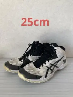 Item thumbnail for item 2452422f-5225-456c-b859-e341fb6d8d96