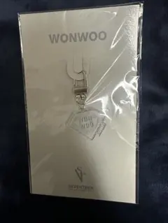 SEVENTEEN WONWOO DIAMOND CHARM SVT